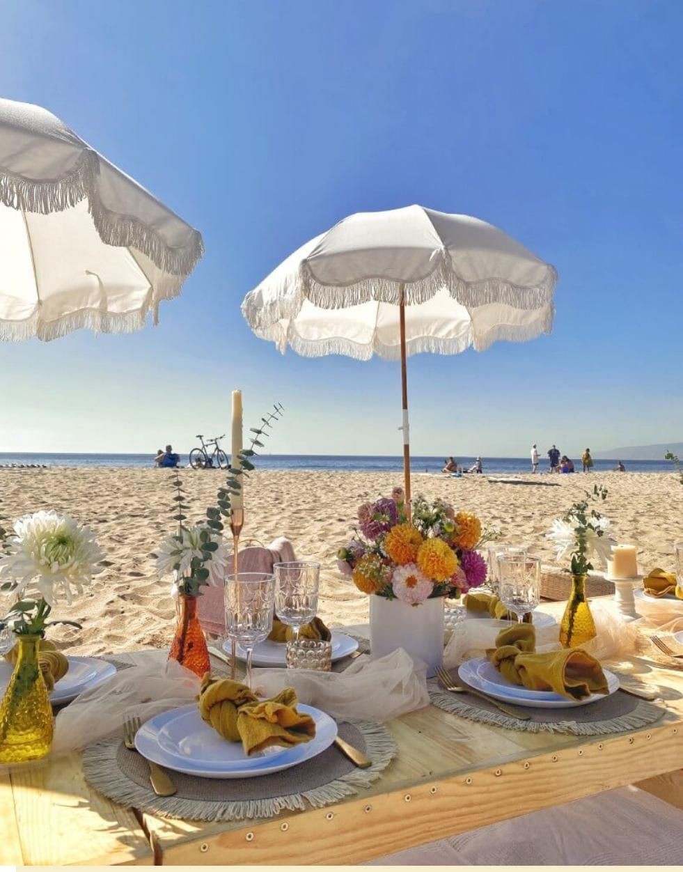 Family Fun Beach Picnic